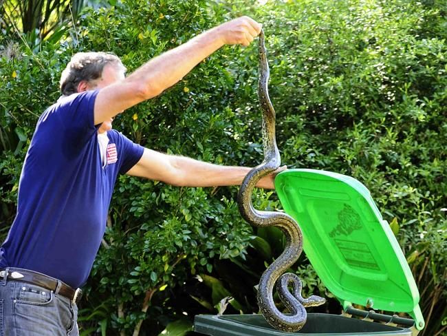 How To Keep Your Pets Safe This Summer