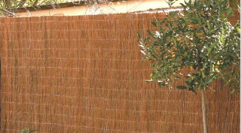 brushwood.JPG