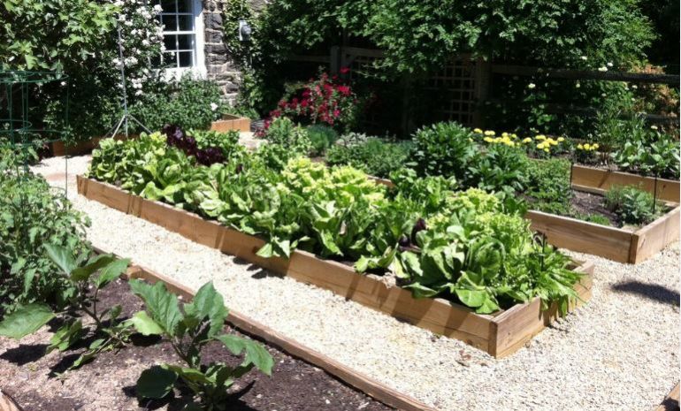 garden.JPG