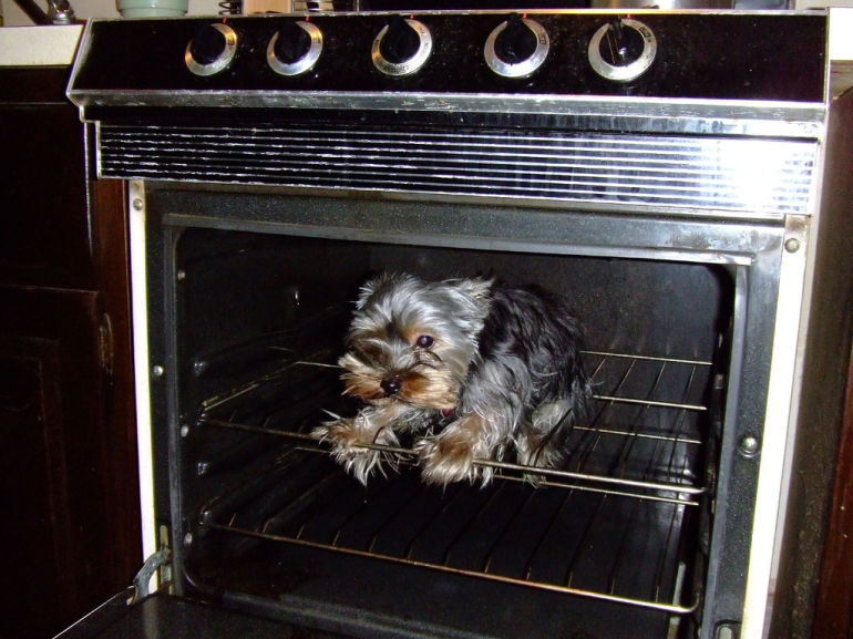 Dealing With Oven Issues? Piece Of Cake!