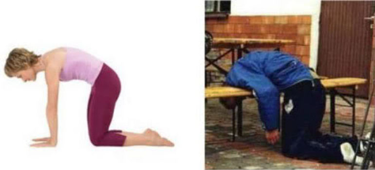 Marjayasana