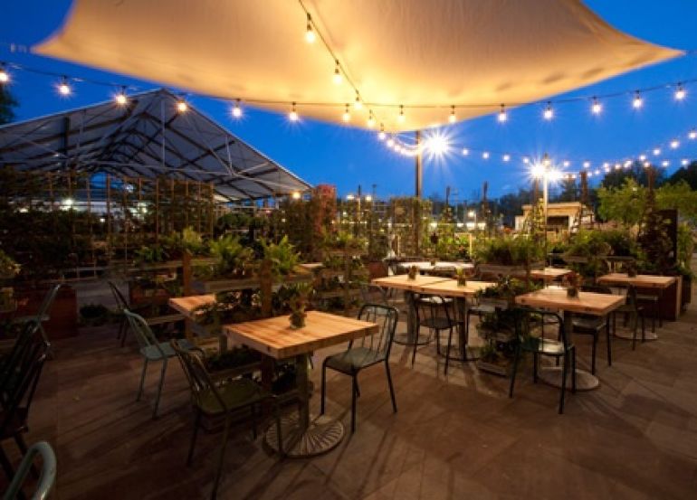 Shade sail with lights
