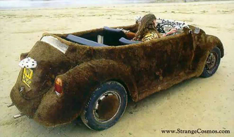 Crazy Cars