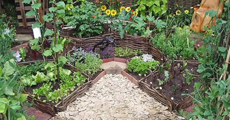 edible garden
