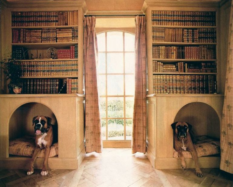 5 Pet-Friendly Home Improvement Ideas
