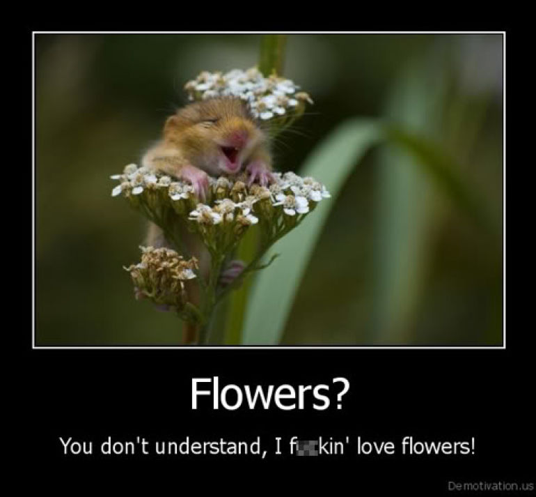 funny poster