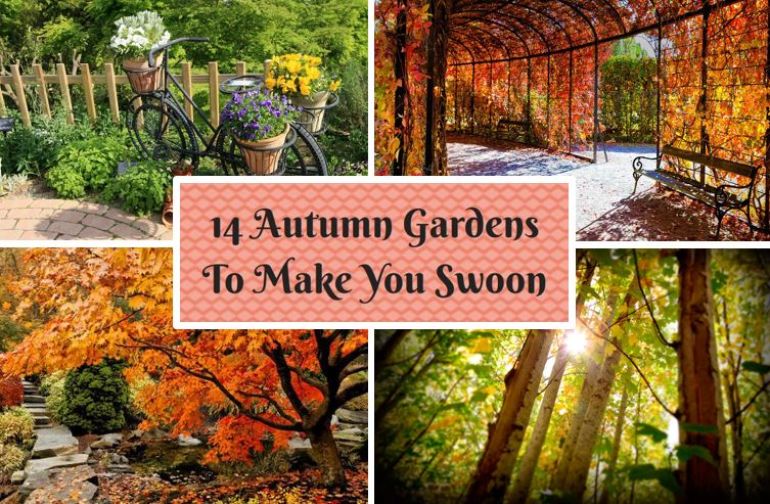 autumngarden.JPG