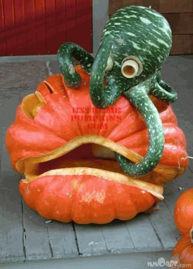 octopus pumpkin