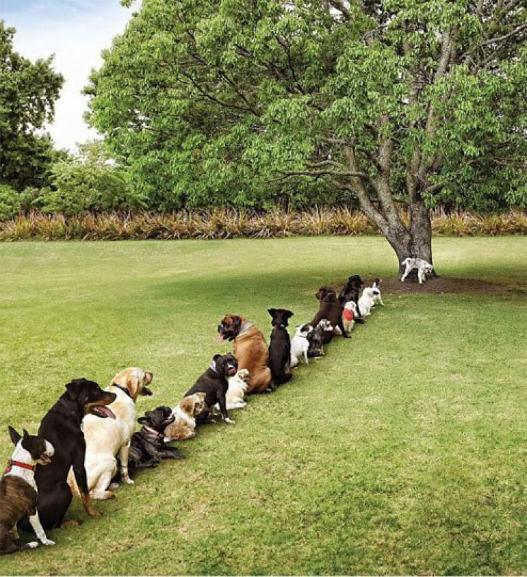 Stop cutting trees