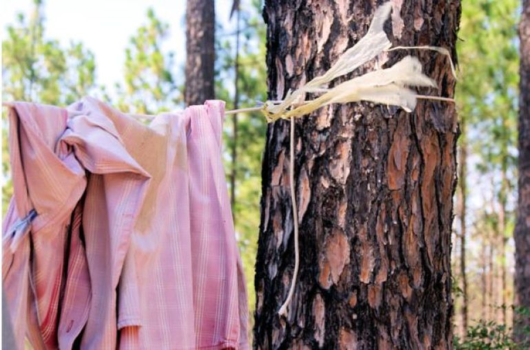 clothesline.JPG
