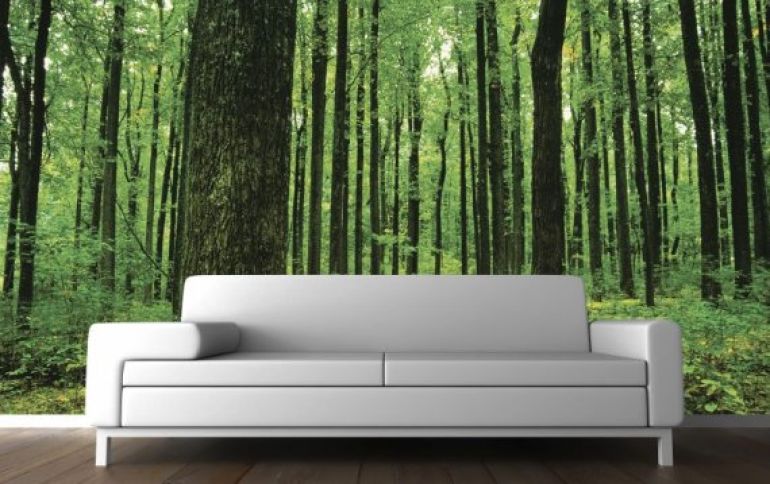 Forest Lounge Photo Wallpaper
