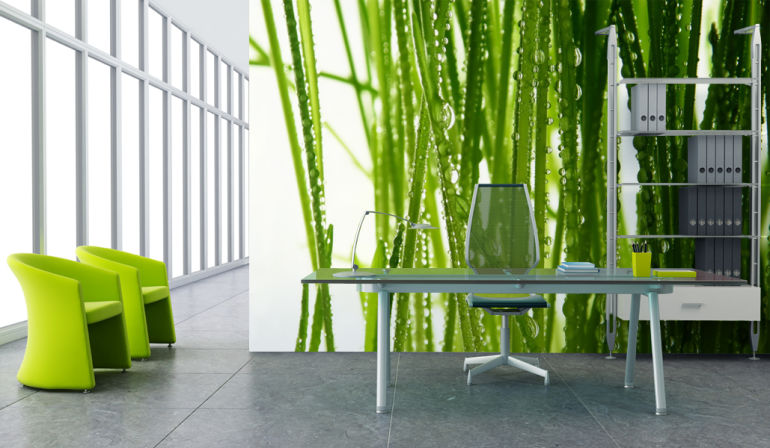 Grassy Office Photo Wallpaper
