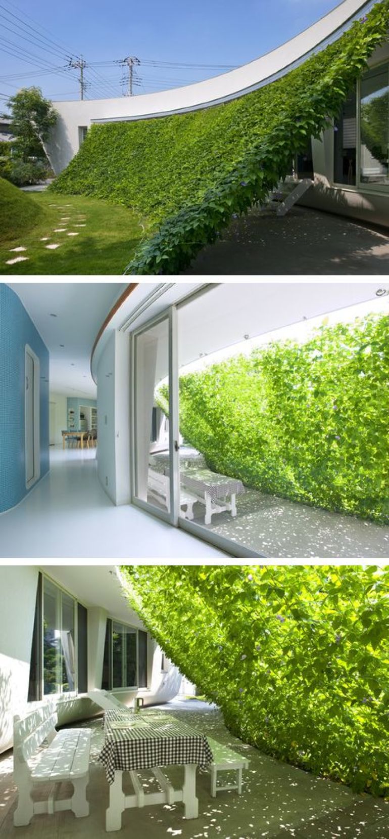 Growing shade structure