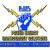 Power and Energy Management Solutions Logo