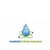 Diamond Steam Cleaning Logo
