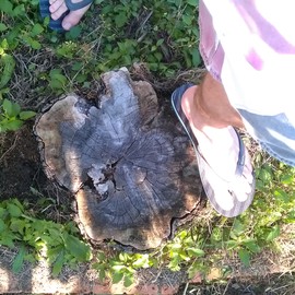 IMAG0338.jpg