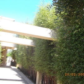 Driveway 001.jpg