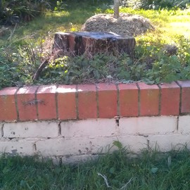 IMAG0339.jpg