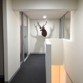 advanced-commercial-ceilings-nsw_8bc641310e.jpg