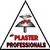 The Plaster Professionals - DNC  Logo