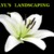Lily’s Landscaping Logo
