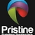 Pristine Painting Perfection Logo