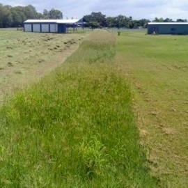 Image8.jpg
