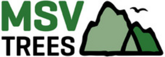 MSV Trees - DNC 