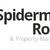 spiderman.jpg
