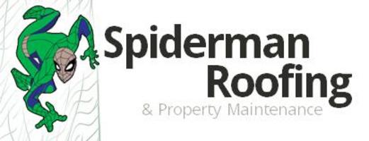 Spiderman Roofing