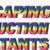 LCC Landscaping Logo