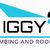 Ziggs Plumbing and Roofing Logo