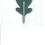 Oak Building Solutions Logo