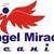 Angel Miracles Cleaning Logo