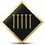 THE BUILDER GUY PTY LTD Logo
