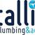 Tallis Plumbing Logo
