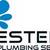Esteem Plumbing Services Logo